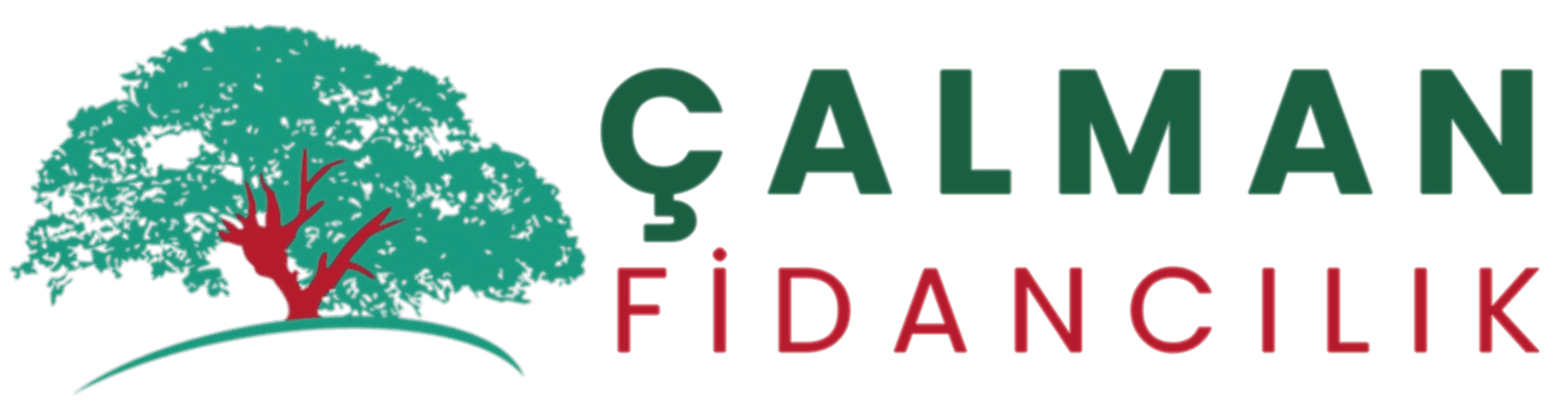 Çalman Fidancılık